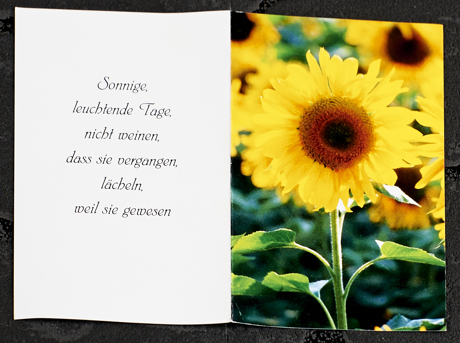 Erinnerungsbilder-2